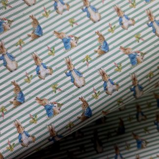 Peter 001 Canvas Fabric A4 Sheet