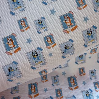 Polaroid Canvas Fabric Sheet A4 280gsm