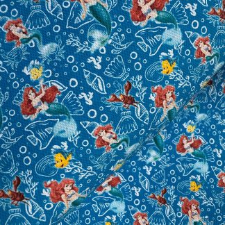 Ariel The Little Mermaid A4 Canvas Fabric Sheet 280gsm