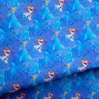Frozen 022 Canvas Fabric Sheet