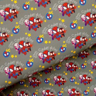 Spidey 001 Canvas Fabric Sheet
