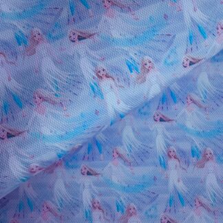 Frozen 041 Canvas Fabric Sheet