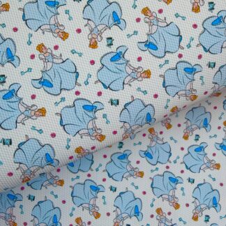 Glass Slipper 017 Canvas Fabric Sheet