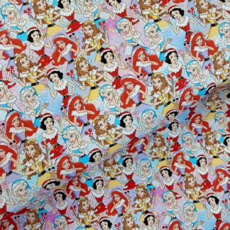 Princess Christmas 003 Canvas Fabric Sheet