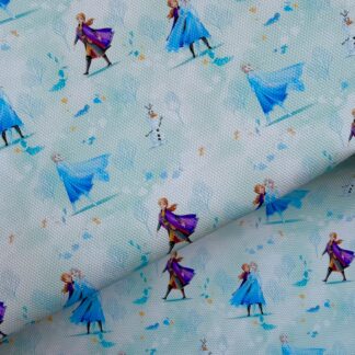 Frozen 040 Canvas Fabric Sheet