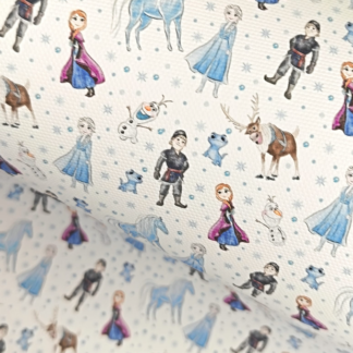 Frozen 004 Canvas Fabric Sheet