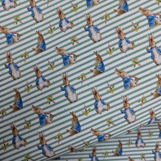 Blue Jacket Rabbit 001 Canvas Fabric Sheet A4 280gsm