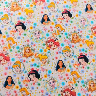 Princess 005 Canvas Fabric Sheet