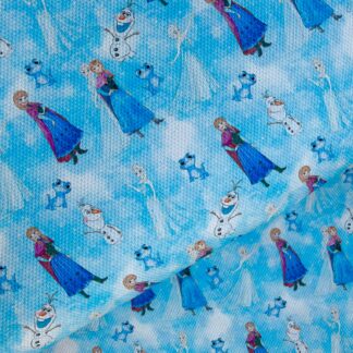 Frozen 024 Canvas Fabric Sheet