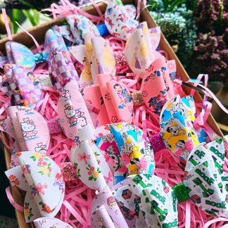 Hair Bow Gift Set REDUCED TO CLEAR