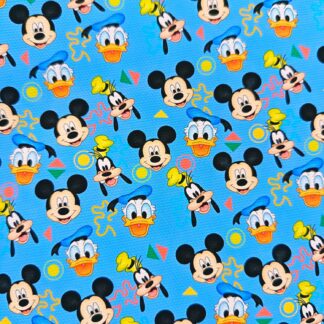 Disney 039 Canvas Sheet
