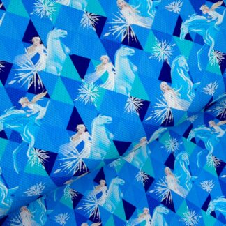 Frozen 005 Canvas Fabric Sheet