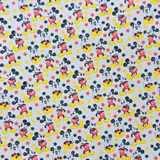 Disney 220 Canvas Fabric Sheet