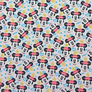 Disney 219 Canvas Fabric Sheet