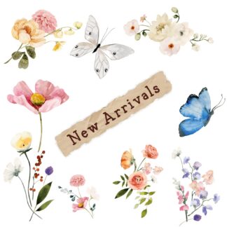 A New Arrival Just For You