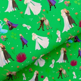 Frozen 030 Canvas Fabric Sheet