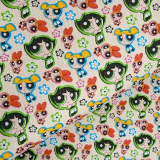 Power Girls 005 Canvas Fabric Sheet