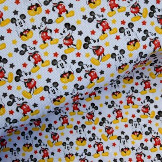 Clubhouse Friends 049 Canvas Fabric Sheet