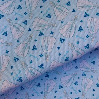 Glass Slipper 018 Canvas Fabric Sheet
