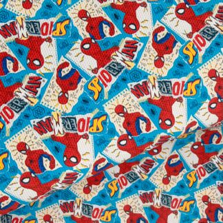 Heroes 045 Canvas Fabric Sheet
