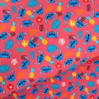 Disney Experiment 002 Canvas Fabric Sheet