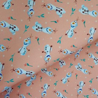 Frozen 010 Canvas Fabric Sheet