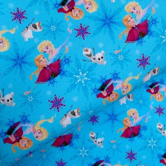 Frozen 002 Canvas Fabric Sheet