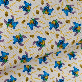Disney Experiment 034 Canvas Fabric Sheet