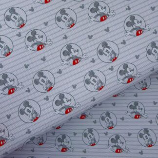 Clubhouse Friends 191 Canvas Fabric Sheet