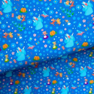 Glass Slipper 016 Canvas Fabric Sheet