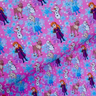 Frozen 042 Canvas Fabric Sheet