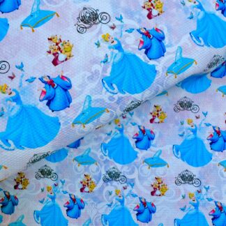 Glass Slipper 002 Canvas Fabric Sheet