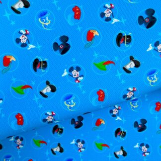 Disney Hats 001 Canvas Fabric Sheet