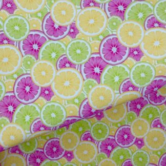 Fruit Slices 001 Canvas Fabric Sheet