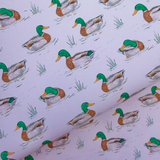 Reduced To Clear Ducks