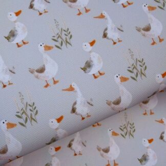Reduced To Clear Ducks