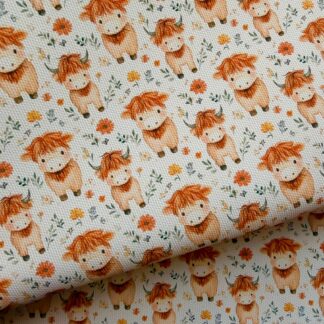 Reduced To Clear Highland Cow