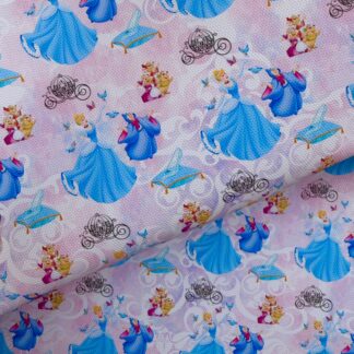 Glass Slipper 002 Canvas Fabric Sheet