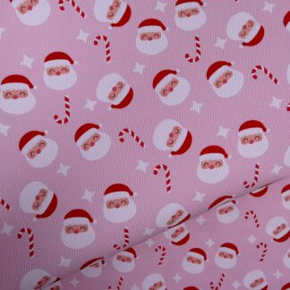 Pretty Christmas 002 Canvas Fabric Sheet