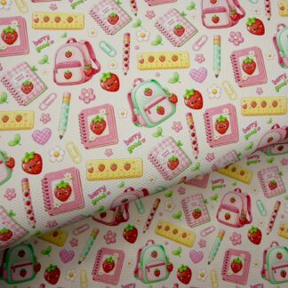 School 008 Canvas Fabric Sheet