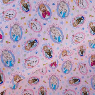 Frozen 028 Canvas Fabric Sheet
