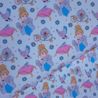 Glass Slipper 011 Canvas Fabric Sheet