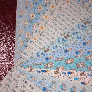 Frozen Canvas Sheet Bundle 12pcs