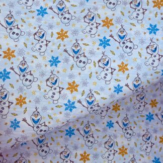 Frozen B 002 Canvas Fabric Sheet