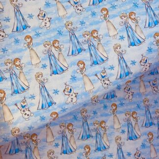 Frozen B 001 Canvas Fabric Sheet