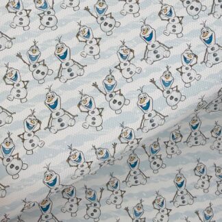 Frozen B 007 Canvas Fabric Sheet