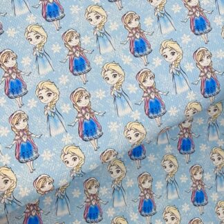 Frozen B 010 Canvas Fabric Sheet