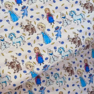 Frozen B 012 Canvas Fabric Sheet
