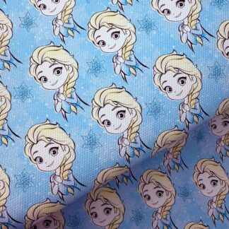 Frozen B 015 Canvas Fabric Sheet