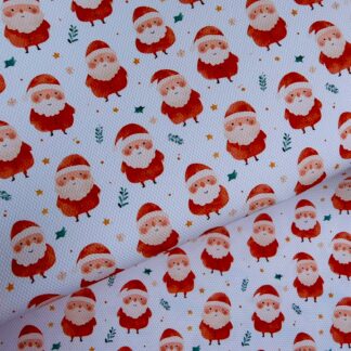 Santa 002 Canvas Fabric Sheet